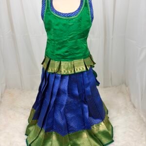 Traditional Skirt and Blouse
