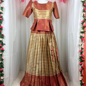 Traditional Skirt and Blouse